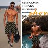 imageMens Swim Trunks Hawaiian Bathing Mesh Lining Suit Swimsuits Beach Shorts with PocketsBlackall Tree