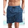 imageMens Swim Trunks Hawaiian Bathing Mesh Lining Suit Swimsuits Beach Shorts with PocketsBluesquare Fish
