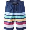Colorful Stripe-9