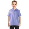 imageBoys Polo Shirt Short Sleeve Performance Dry Fit Stretch Funny Print Active Casual Collared Golf Shirts for BoyLavender Avocado