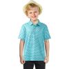 imageBoys Polo Shirt Short Sleeve Performance Dry Fit Stretch Funny Print Active Casual Collared Golf Shirts for BoyThree Leaf Clover