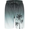 Grey Palm Tree