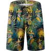Tropical Dinosaurs