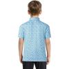 imageBoys Polo Shirt Short Sleeve Performance Dry Fit Stretch Funny Print Active Casual Collared Golf Shirts for BoyBlue Dinosaur