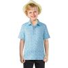 imageBoys Polo Shirt Short Sleeve Performance Dry Fit Stretch Funny Print Active Casual Collared Golf Shirts for BoyBlue Dinosaur