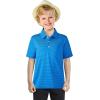 imageBoys Polo Shirts Short Sleeve Striped Performance Moisture Wicking Dry Fit Golf Shirts for Boys Youth KidsCobalt Stripe