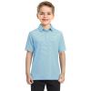 imageBoys Polo Shirts Short Sleeve Striped Performance Moisture Wicking Dry Fit Golf Shirts for Boys Youth KidsGreen Ash Stripe