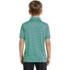 imageBoys Polo Shirts Short Sleeve Striped Performance Moisture Wicking Dry Fit Golf Shirts for Boys Youth KidsGreen Stripe