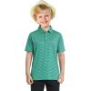 imageBoys Polo Shirts Short Sleeve Striped Performance Moisture Wicking Dry Fit Golf Shirts for Boys Youth KidsGreen Stripe