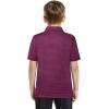 imageBoys Polo Shirts Short Sleeve Striped Performance Moisture Wicking Dry Fit Golf Shirts for Boys Youth KidsMaroon Stripe