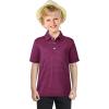 imageBoys Polo Shirts Short Sleeve Striped Performance Moisture Wicking Dry Fit Golf Shirts for Boys Youth KidsMaroon Stripe