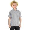 imageBoys Polo Shirts Short Sleeve Striped Performance Moisture Wicking Dry Fit Golf Shirts for Boys Youth KidsNavy Stripe
