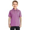 imageBoys Polo Shirts Short Sleeve Striped Performance Moisture Wicking Dry Fit Golf Shirts for Boys Youth KidsPink Blue Stripe