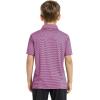 imageBoys Polo Shirts Short Sleeve Striped Performance Moisture Wicking Dry Fit Golf Shirts for Boys Youth KidsPink Blue Stripe