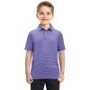 imageBoys Polo Shirts Short Sleeve Striped Performance Moisture Wicking Dry Fit Golf Shirts for Boys Youth KidsPlum Blue Stripe