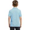 imageBoys Polo Shirts Short Sleeve Striped Performance Moisture Wicking Dry Fit Golf Shirts for Boys Youth KidsSky Blue Stripe