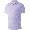 Bluishpurple Grey Stripe