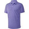Plum Blue Stripe