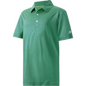 imageBoys Polo Shirts Short Sleeve Striped Performance Moisture Wicking Dry Fit Golf Shirts for Boys Youth KidsGreen Stripe