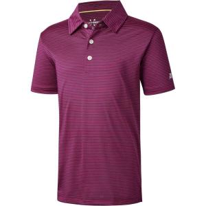 imageBoys Polo Shirts Short Sleeve Striped Performance Moisture Wicking Dry Fit Golf Shirts for Boys Youth KidsMaroon Stripe