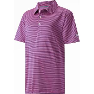 imageBoys Polo Shirts Short Sleeve Striped Performance Moisture Wicking Dry Fit Golf Shirts for Boys Youth KidsPink Blue Stripe