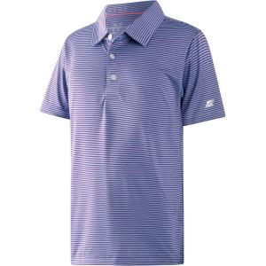 imageBoys Polo Shirts Short Sleeve Striped Performance Moisture Wicking Dry Fit Golf Shirts for Boys Youth KidsPlum Blue Stripe