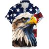 American Flag and Eagle