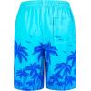 image:imageMens Swim Trunks Quick Dry Board Shorts with Mesh Lining Breathable Fit Print Beach Shorts Swimwear Bathing SuitsSky Blue Palm