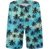 Coconut Tree-15