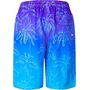 image:imageFT FENTENG Mens Swim Trunks with Compression Liner 9 Big and Tall Board Shorts 2 in 1 Quick Dry Long Swimwear Bathing SuitsGradient Blue Palmc