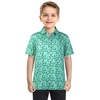 image:imageBoys Polo Shirt Short Sleeve Performance Dry Fit Stretch Funny Print Active Casual Collared Golf Shirts for BoyRugby Sports